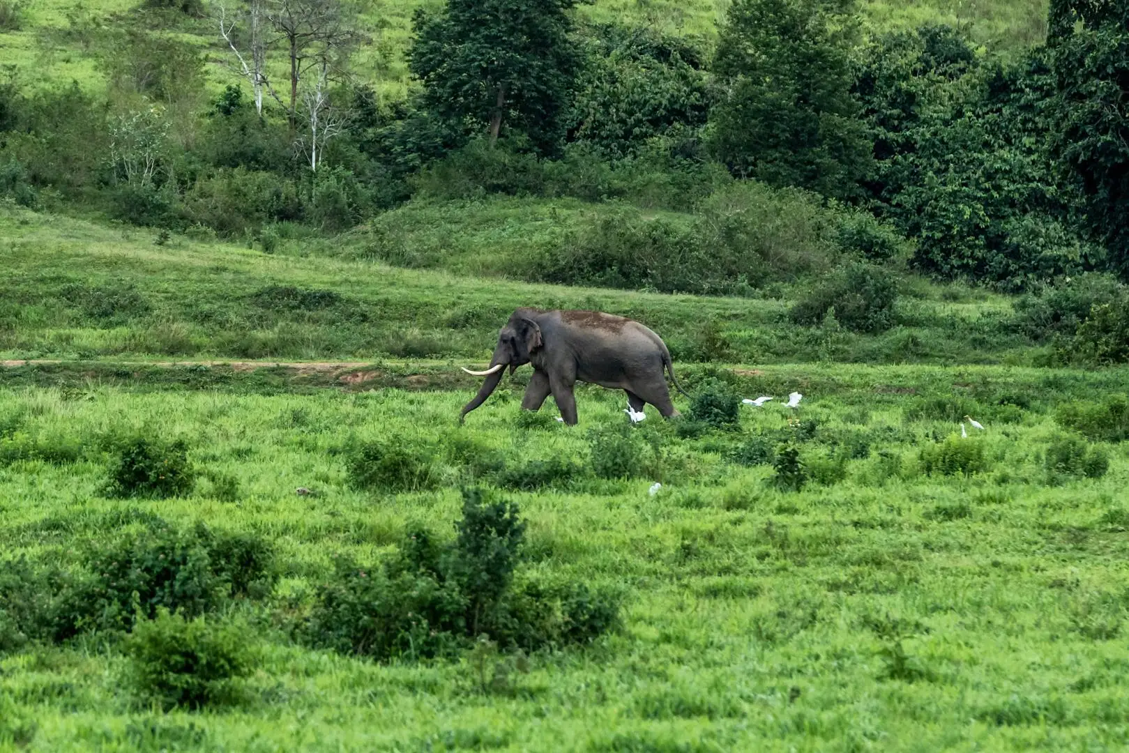 Nature & Animaux (Duo, 10j)