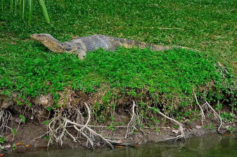 Nature & Animaux (Duo, 10j)