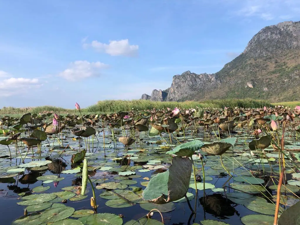 Nature & Animaux (Duo, 10j)